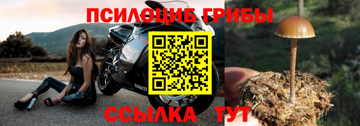 Псилоцибиновые грибы MAGIC MUSHROOMS  Вход с VPN  Скопин  Галлюциногенные грибы ЛСД 